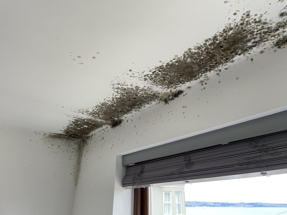 mould growth due to insulation